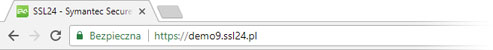 Google Chrome