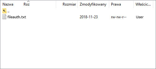 Plik tekstowy fileauth.txt