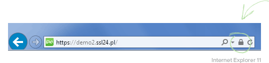 Symbol kłódki Internet Explorer