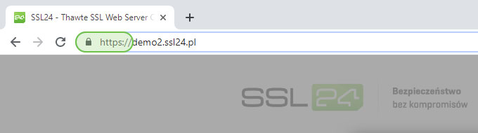 HTTPS i ikona kłódki